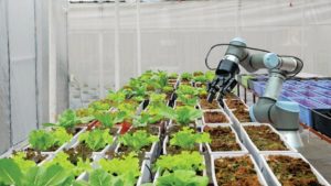 Who Will Win? A.I. Put to the Test Against Traditional Farmers