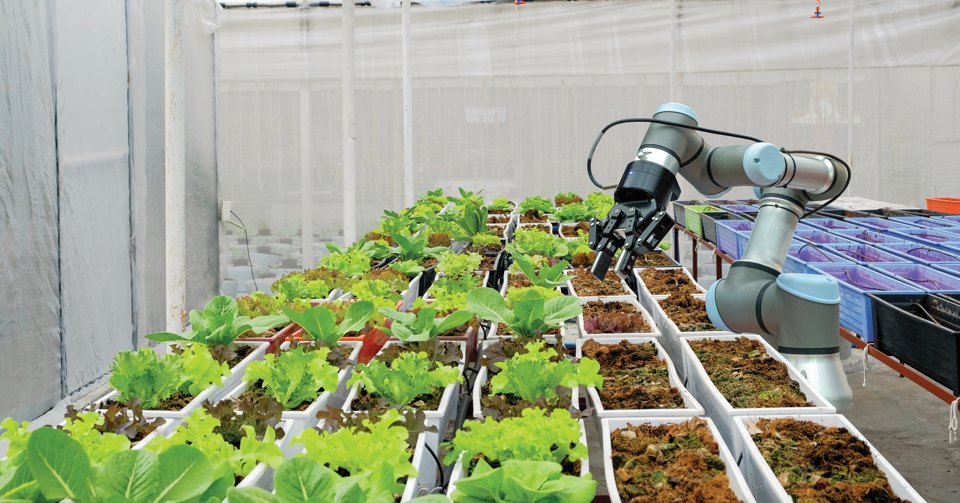 One Possible Effect of COVID-19: Enhanced Robotics in Food Production - Greenhouse Grower