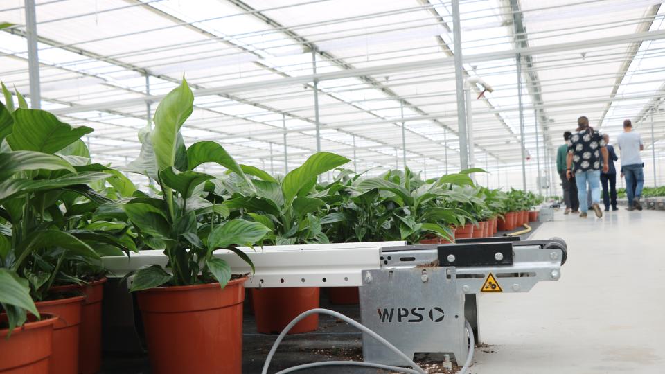 How WPS and Best Plant move plants across aisles
