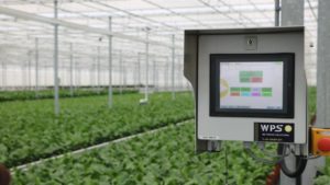 GreenTech ’19: Automation Inspiration Tour Showcases Westlands Growers [Slideshow]