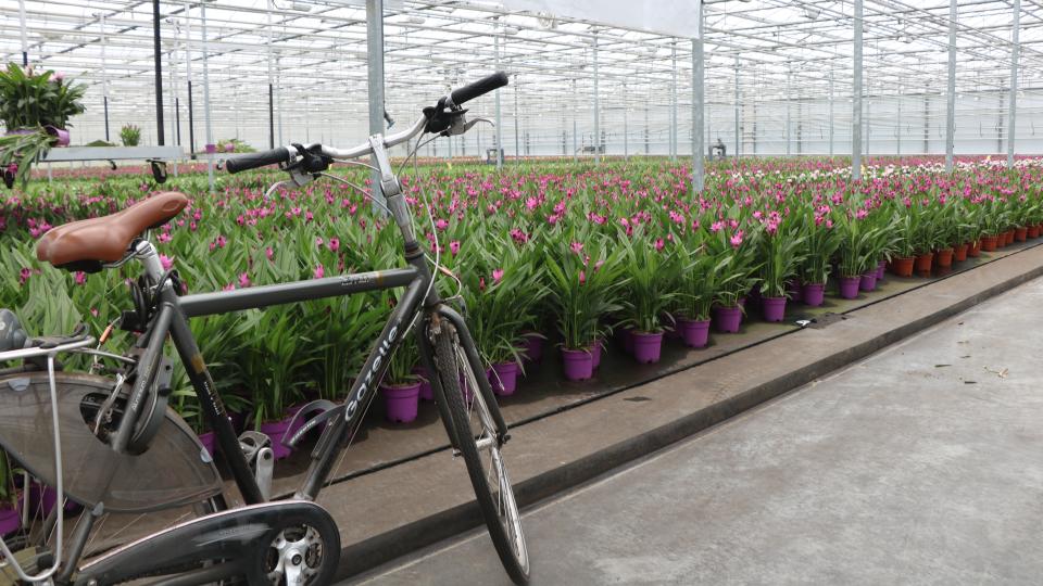 Tour Stop #2: Forever Plants 