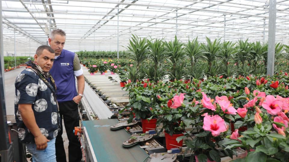 Forever Plants end-of-row system