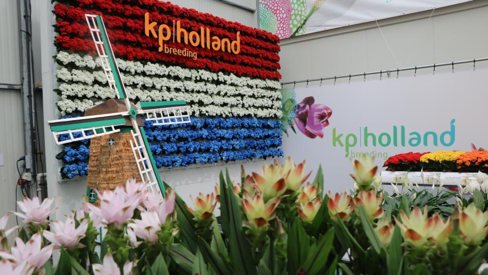 Tour Stop #3: KP Holland