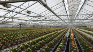 KP Holland upstairs plant finish area