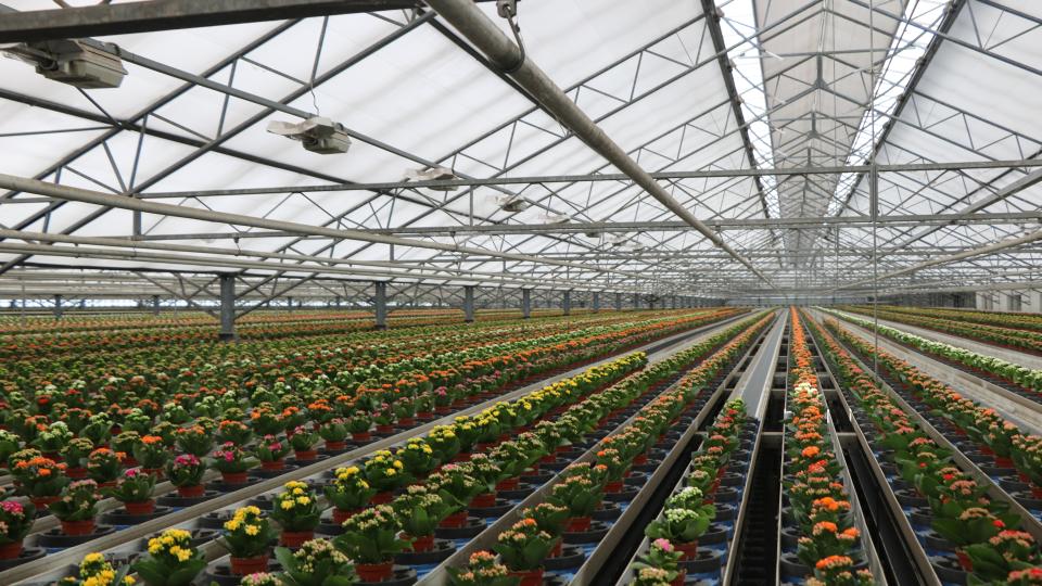 KP Holland upstairs plant finish area