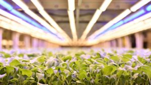 Find Out Who Earned a Spot on the Latest FoodTech 500 List