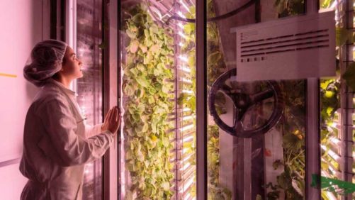 Industry Insiders Predict the Future of Indoor Agriculture