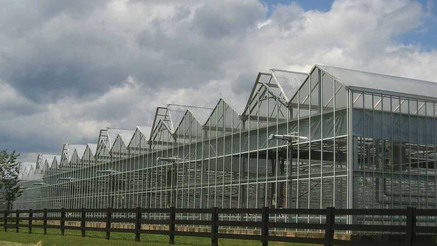 Cabrio Venlo Greenhouse (GrowSpan)