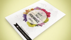 Eason Horticultural Resources Offers Guide for Hot New Perennials