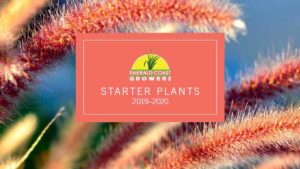 Emerald Coast Growers Shines on With New Resource Guide