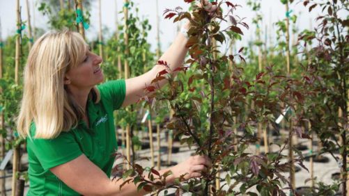 Four Leading CEA Growers to Benchmark Their Water and Energy Use