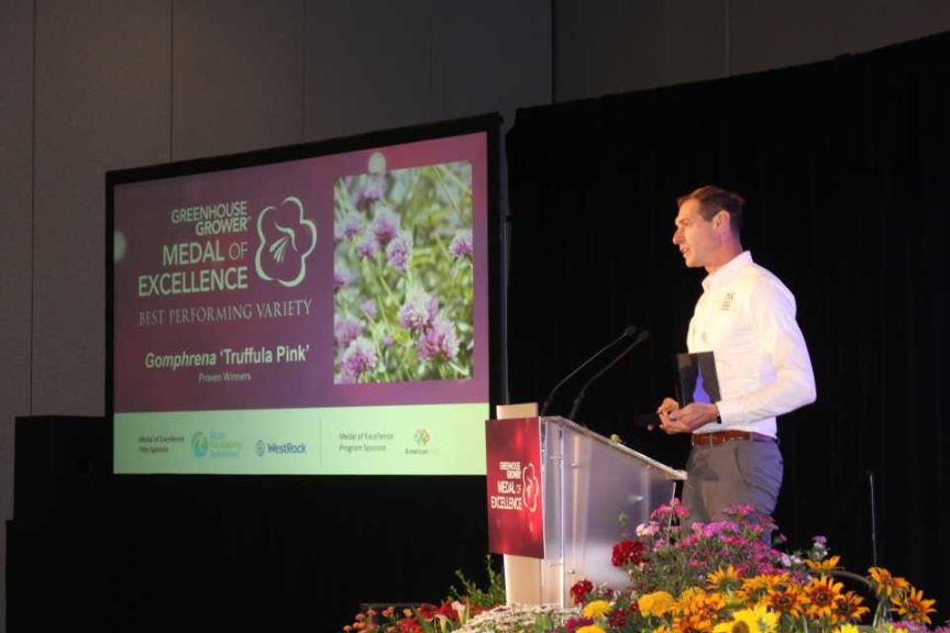 Best Performing Variety