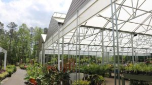 Pinnacle Greenhouse (Merchney Greenhouses)