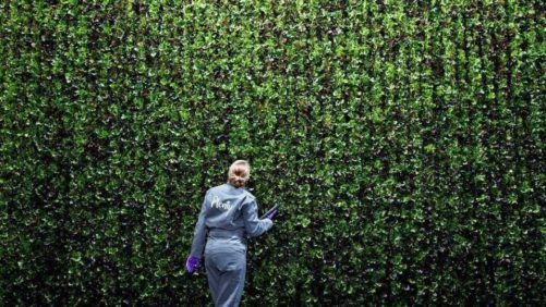Vertical Farming Venture a Good Deal for Walmart