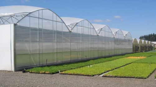 Top 5 Greenhouse Technology Stories From 2019