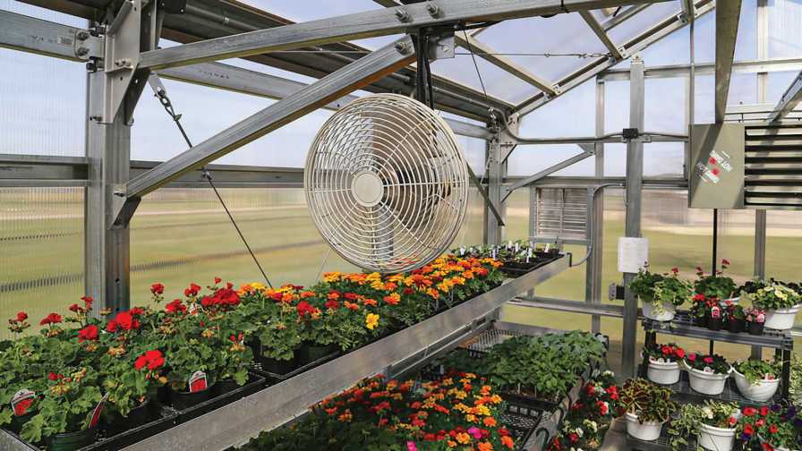 Heating And Cooling Solutions For Your Greenhouse