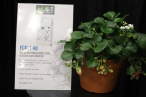 Arborjet Eco-1 Garden Spray