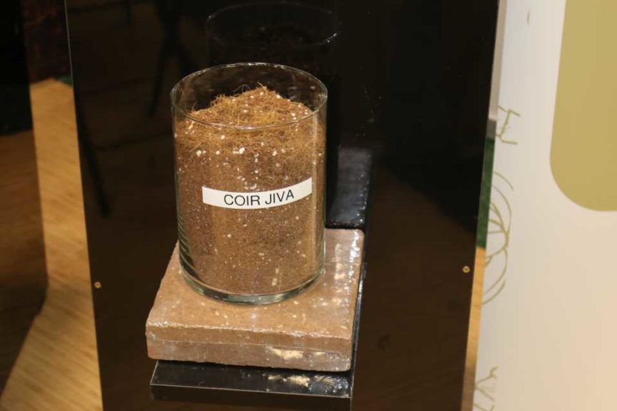 Green Earth Coir Jiva