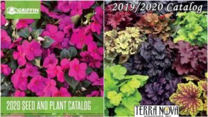 Get a Jump on 2020 With New Plant Catalogs From Griffin, Terra Nova