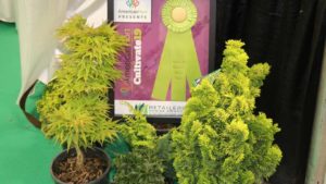 15 Innovative Products That Grower-Retailers Loved at Cultivate’19