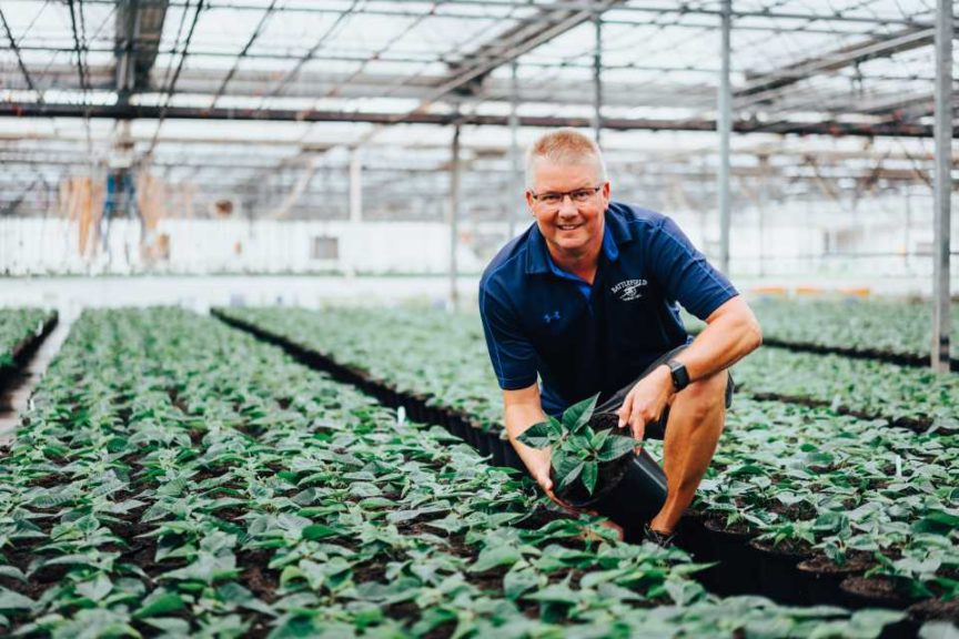How 2019 Head Grower of the Year Marc Verdel Strives for Quality and Efficiency