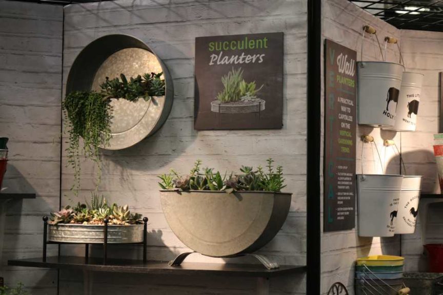 Panacea Succulent Planters