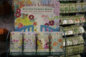 Renee’s Garden Cornucopia Seed