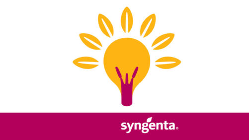 New App Gives Greenhouse Growers Quick Access to Crop Protection Information