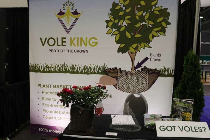 Vole King Wire Mesh Basket