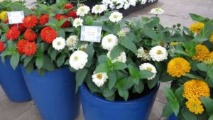 Eason Welcomes Five Former Gloeckner Reps to Its National Sales Team