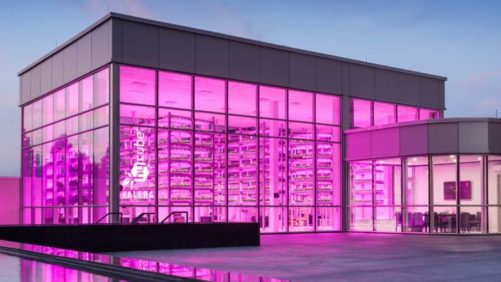 What Are the Emerging Trends Affecting Indoor Farming?