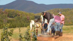 Tips for Growing Cleaner Plants That You Can Implement Today