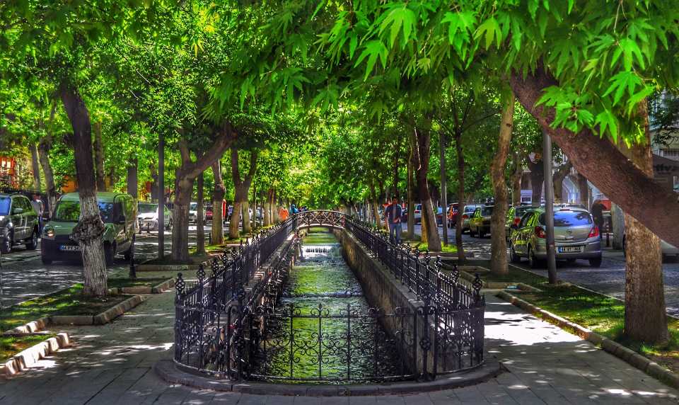 Cities of the Future