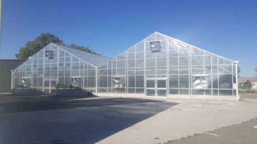 Why Condensation Can Occur at Any Time in the Greenhouse