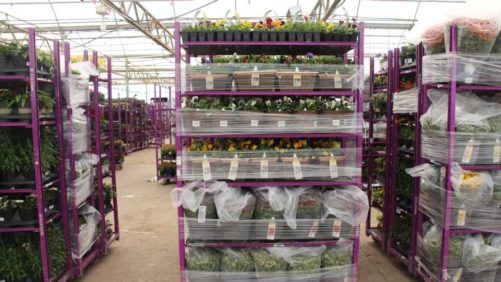 How to Deliver an Amazon Experience to Your Greenhouse Customers