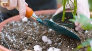 Which Therapeutic Garden Programs Received NGB Grants?