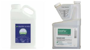 New Options in Plant Growth Regulator Use in the Greenhouse