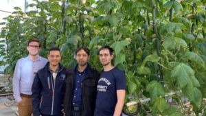 Autonomous Greenhouse Challenge Winner on the Power of Artificial Intelligence
