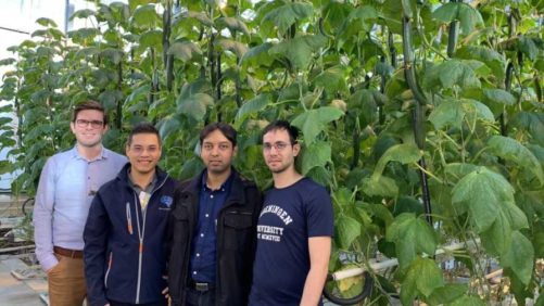 Experts Dish on the Future of Autonomous Greenhouses