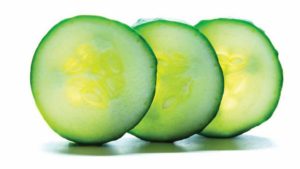 Everything You Need to Know About Hydroponic Cucumber Production