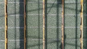 How Beekenkamp is Using Technology to Measure Propagation