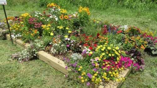 Architecture Industry Feeling Effects of Floral Supply Chain Issues