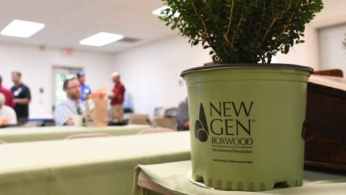Field Day Attendees Get First Look at NewGen Boxwood