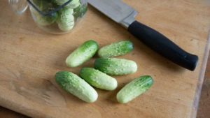 Production Tips for a New Greenhouse Cucumber
