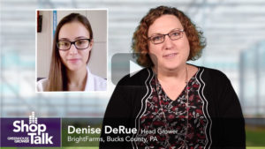 How BrightFarms Delivers Quality Leafy Greens Fresh to the Market