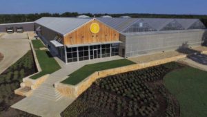 Texas Lettuce Grower Finds Success in Automated Harvesting