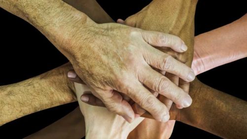 The Greenhouse Industry is Evolving! Are You All In?