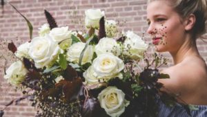 Dümmen Orange Renews Partnership With Dutch Rose Cooperative