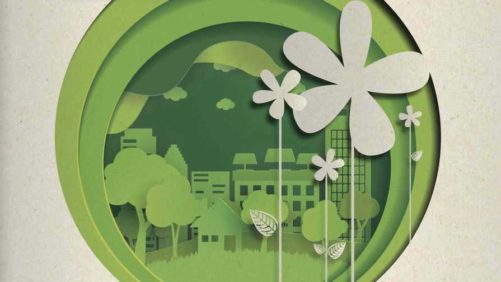 How FloraLife is Setting Its Sights on Sustainability