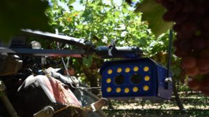 Intersection of Cannabis, AI, and Ag Tech Straight Ahead